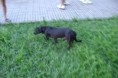 /album/projeto-natalino-/dsc00456-jpg/