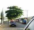 /album/projeto-natalino-/dsc00463-jpg/